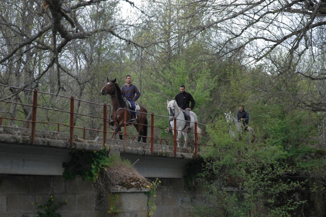 Cabalgamarras en Sanabria